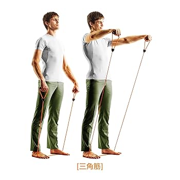 ウエイトトレーニング La.vie Amazon.co.jp: La-VIE（ラヴィ）